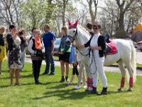Konf  499 (2)