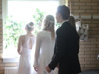 IMG 7537