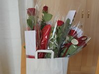IMG 7599