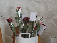 IMG 7605