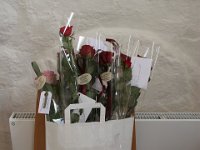 IMG 7606