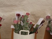 IMG 7610